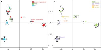 Population Genomics of an Obligately Halophilic Basidiomycete Wallemia ichthyophaga